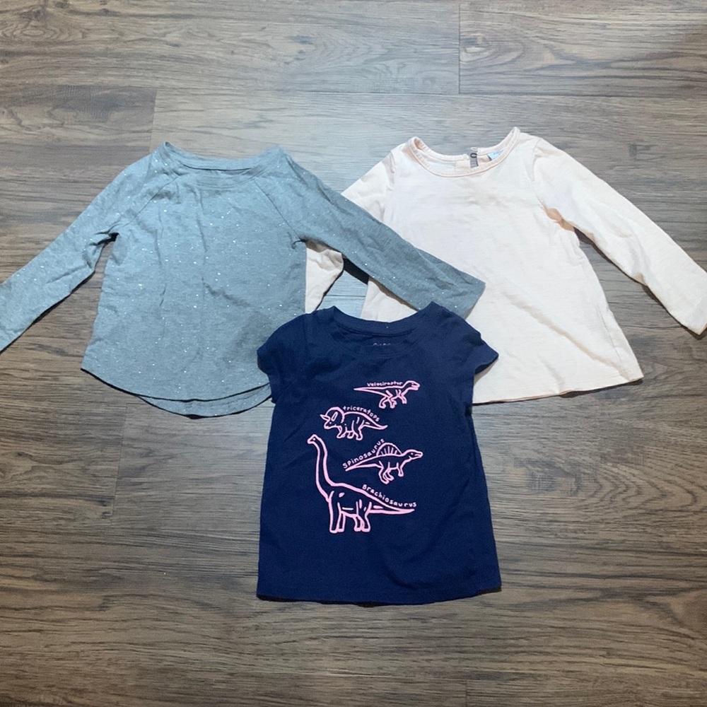 Girls shirts. Size 2t. Gently worn. One small pink mark on light pink top